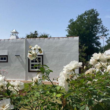 Finca la Estufa Villa La Laguna  Exterior foto