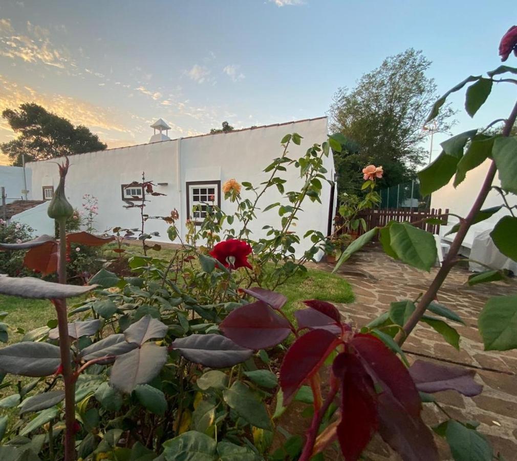 Finca la Estufa Villa La Laguna  Exterior foto